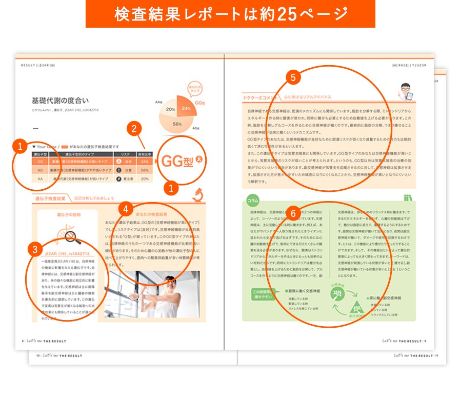 �������ʃ��|�[�g